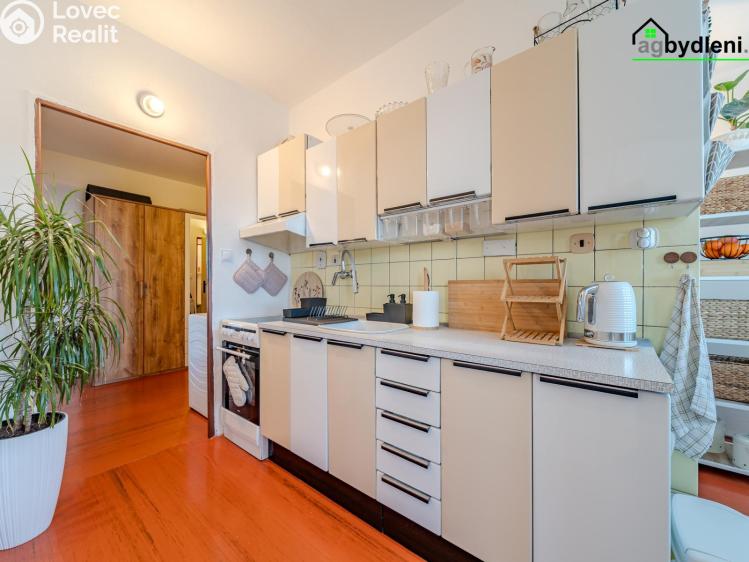 Prodej bytu 3+1 Starý Plzenec č. 27