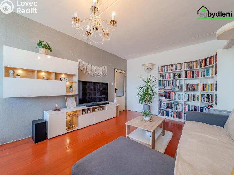 Prodej bytu 3+1 Starý Plzenec č. 3