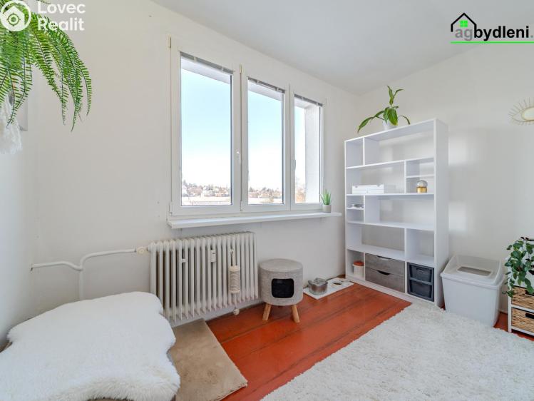 Prodej bytu 3+1 Starý Plzenec č. 9