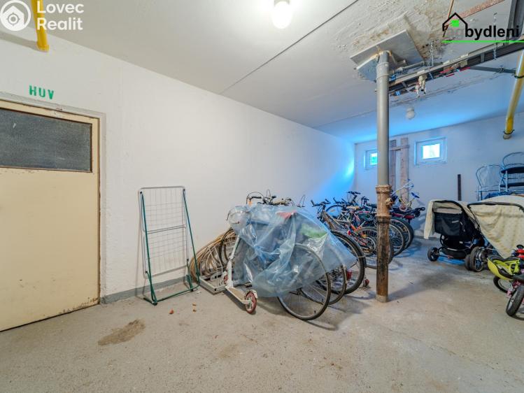 Prodej bytu 3+1 Starý Plzenec č. 19