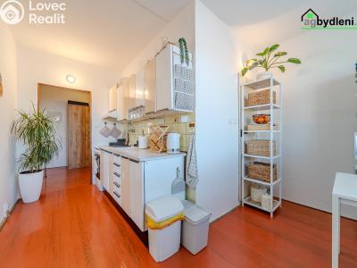 Prodej bytu 3+1 Starý Plzenec č. 1