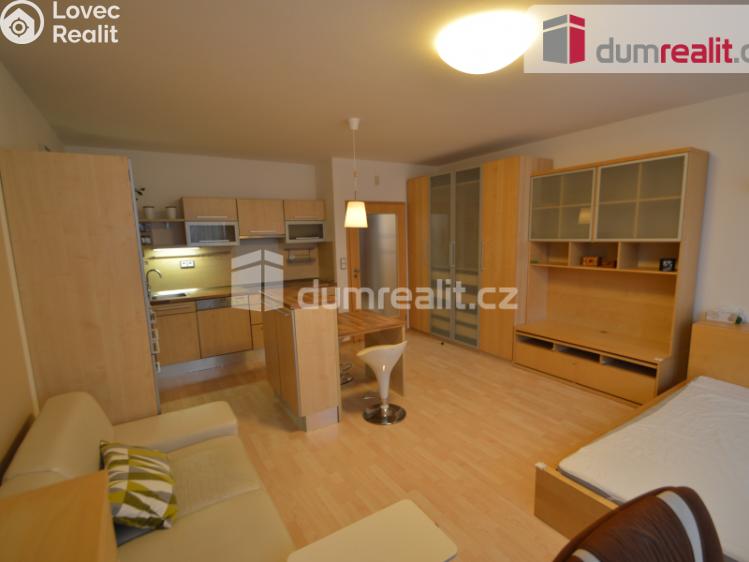 Pronájem bytu 1+KK Praha 9, Trmická č. 1