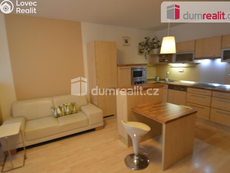 Pronájem bytu 1+KK Praha 9, Trmická č. 11