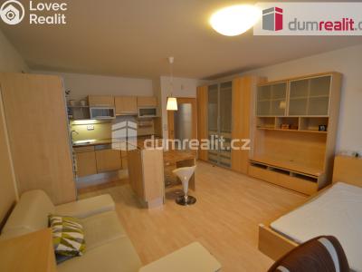 Pronájem bytu 1+KK Praha 9, Trmická č. 1