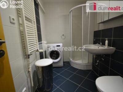 Pronájem bytu 1+KK Praha 9, Trmická č. 4