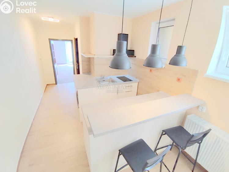 Pronájem bytu 1+1 Dalovice, Pod Parkem č. 1