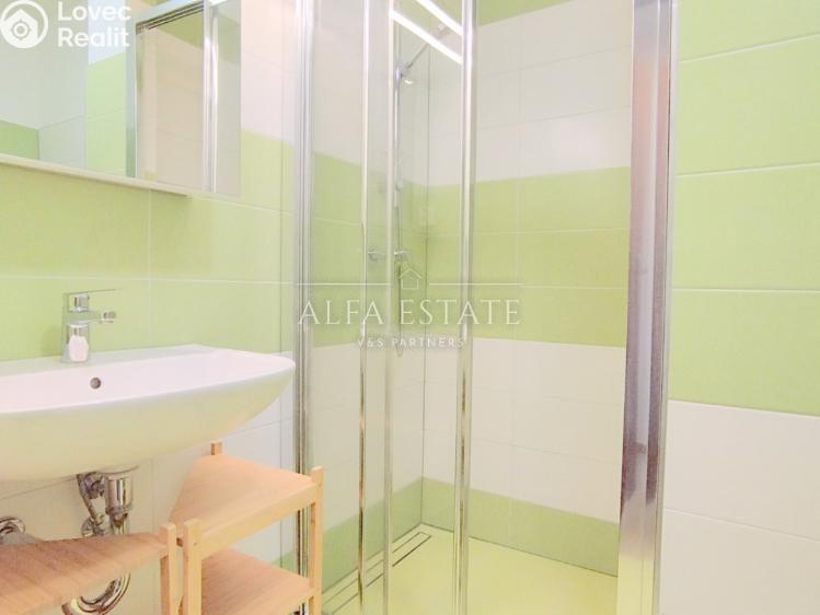 Pronájem bytu 1+1 Dalovice, Pod Parkem č. 4