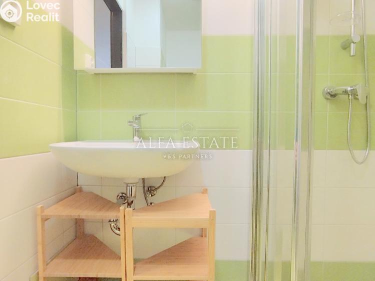 Pronájem bytu 1+1 Dalovice, Pod Parkem č. 5