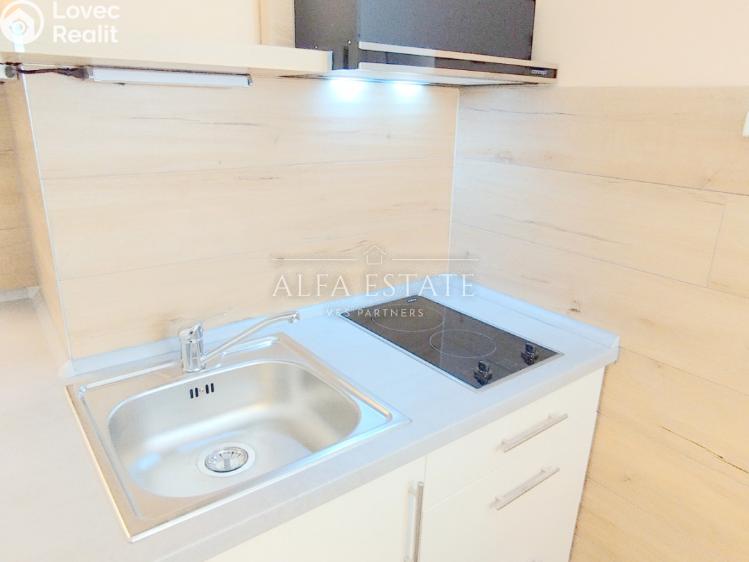 Pronájem bytu 1+1 Dalovice, Pod Parkem č. 9