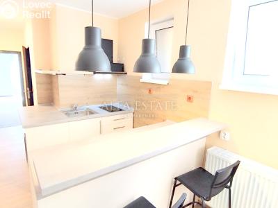 Pronájem bytu 1+1 Dalovice, Pod Parkem č. 2