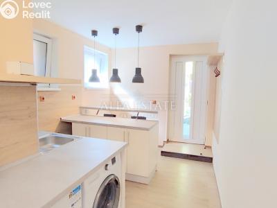 Pronájem bytu 1+1 Dalovice, Pod Parkem č. 3