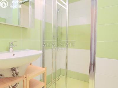 Pronájem bytu 1+1 Dalovice, Pod Parkem č. 4