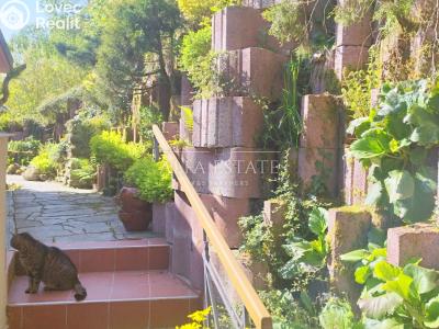 Pronájem bytu 1+1 Dalovice, Pod Parkem č. 6