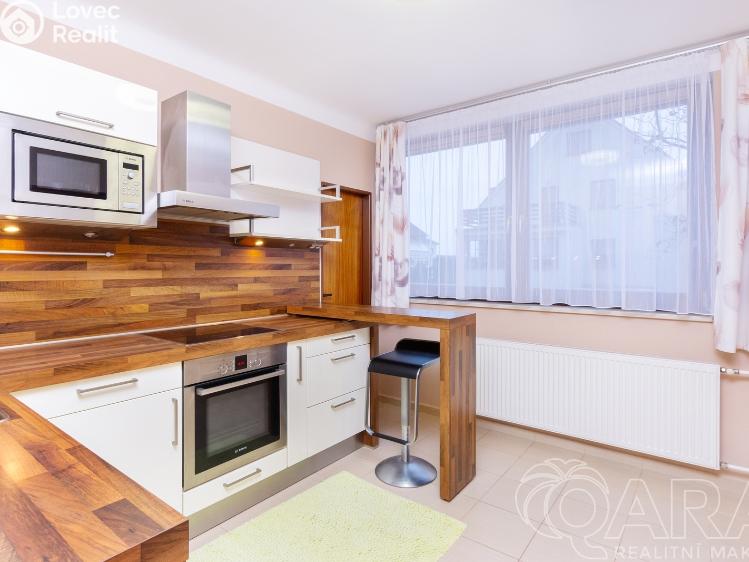 Rent family house Opařany č. 6