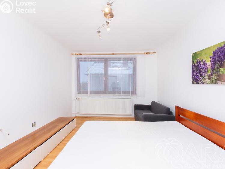 Rent family house Opařany č. 19