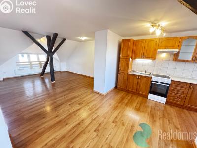 Аренда квартиры 2+KK České Budějovice, Jírovcova č. 1