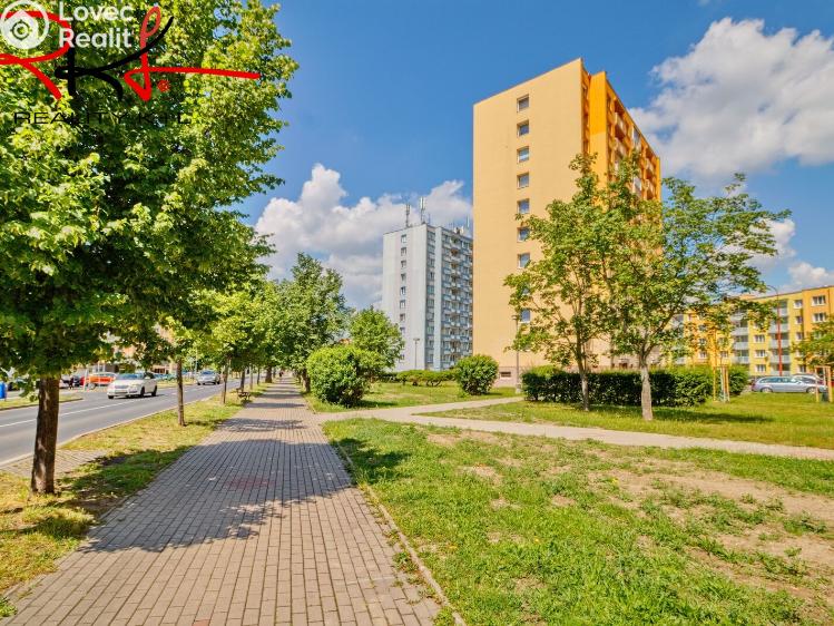 Pronájem bytu 1+1 Roudnice nad Labem, Alej 17. listopadu č. 14