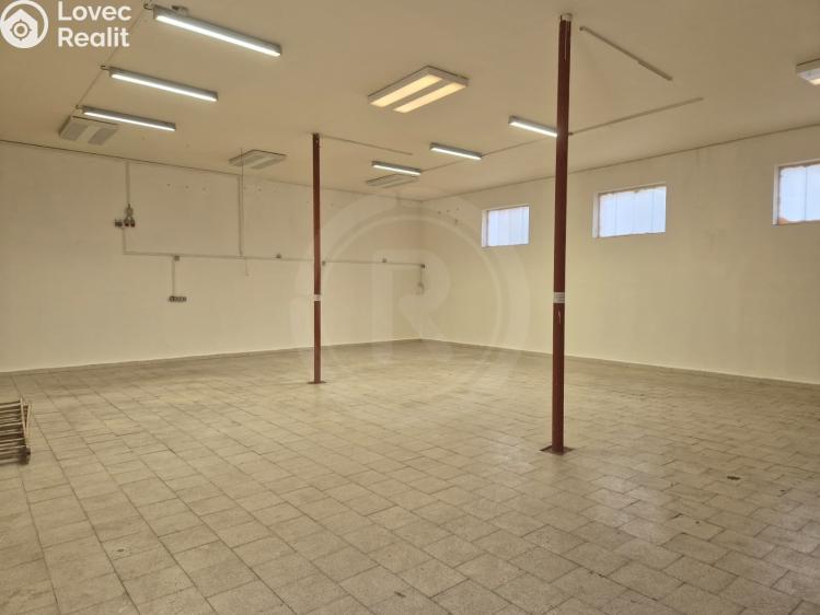 Rent warehouse Boršov nad Vltavou, Poříčská 282 č. 1