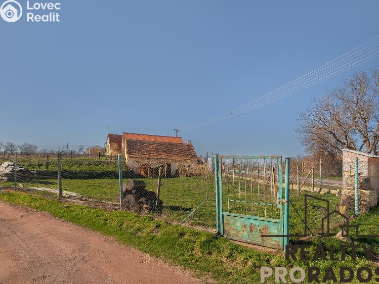 Prodej vinného sklepa Strachotice č. 12