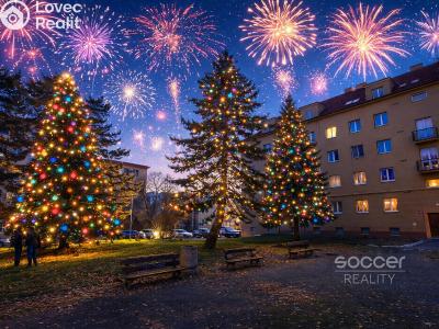 Pronájem bytu 2+1 Praha, K lánu č. 4