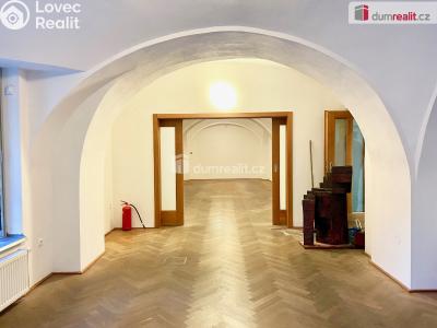 Аренда торгового помещеня Praha 1, Voršilská č. 4