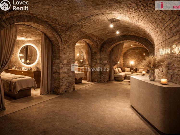 Rent commercial space Praha 5, Lidická č. 8