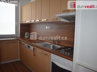 Rent apartment 4+1 Teplice, Krušnohorská č. 2