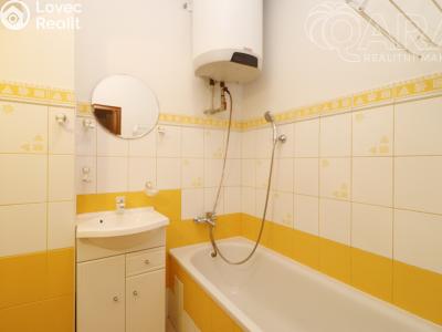 Pronájem bytu 1+1 Praha, Davídkova č. 6