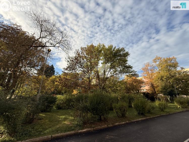 Prodej bytu 3+1 Plzeň, Schwarzova č. 12