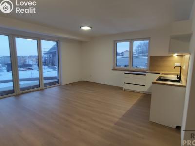 Pronájem bytu 3+KK Kralice nad Oslavou, Horky č. 2