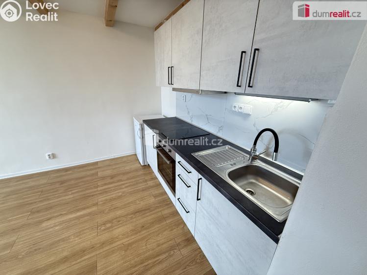 Rent apartment 1+KK Praha 5, Na Valentince č. 4