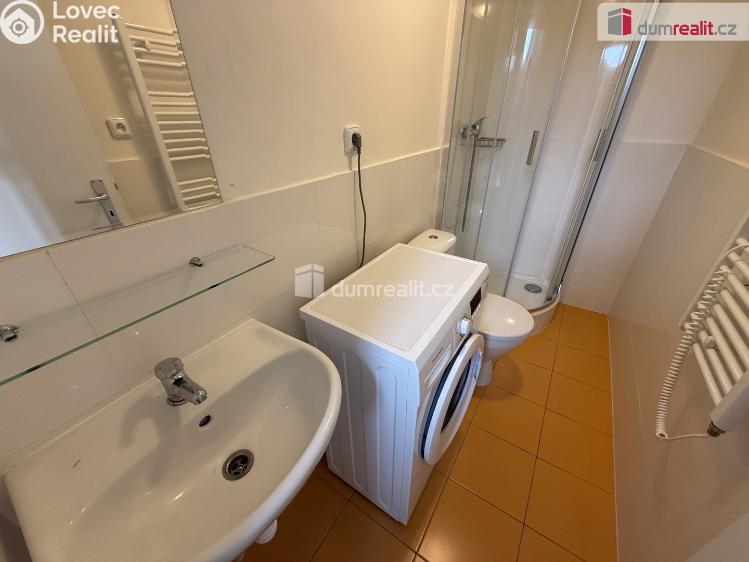 Rent apartment 1+KK Praha 5, Na Valentince č. 7