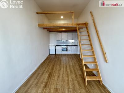 Pronájem bytu 1+KK Praha 5, Na Valentince č. 2