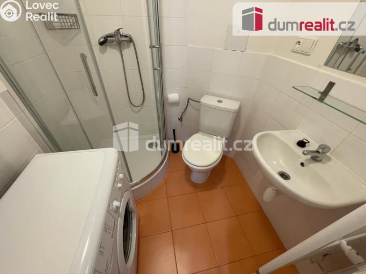 Pronájem bytu 1+KK Praha 5, Na Valentince č. 7