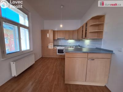 Pronájem bytu 2+KK Praha 7, Kamenická č. 1