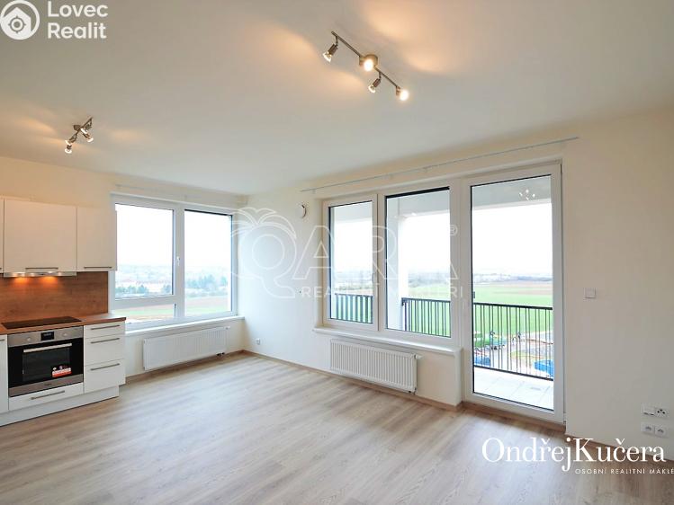 Pronájem bytu 1+KK Praha, Drnovská 1167 č. 1