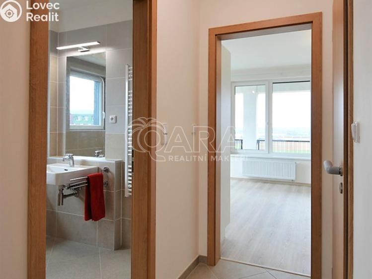 Pronájem bytu 1+KK Praha, Drnovská 1167 č. 12