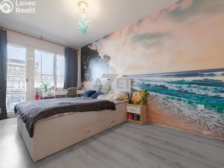 Prodej bytu 3+1 Orlová, Vnitřní č. 8