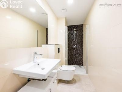 Pronájem bytu 1+KK Praha, Petrská č. 5