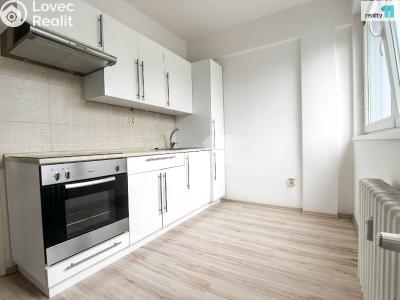 Pronájem bytu 1+1 Přerov, Bayerova č. 1