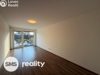 Pronájem bytu 3+KK Hradec Králové, Věkošská č. 3