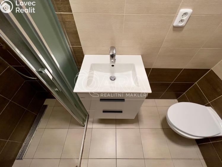 Pronájem bytu 2+KK Česká č. 17