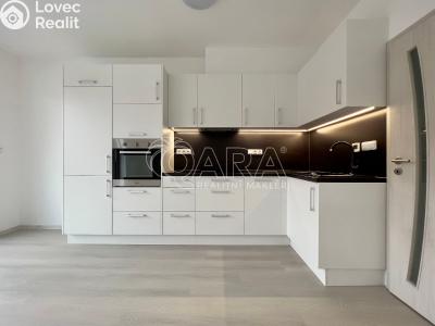 Pronájem bytu 2+KK Česká č. 1