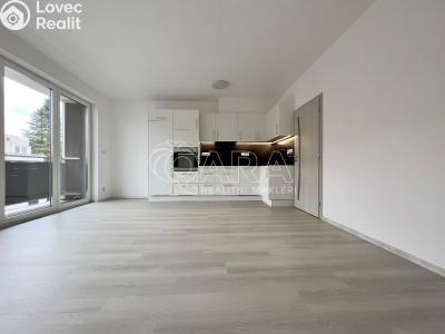 Pronájem bytu 2+KK Česká č. 3