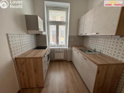 Аренда квартиры 1+1 České Budějovice, Štítného č. 1