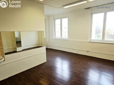 Rent office space Kralupy nad Vltavou, Nerudova 1094 č. 3