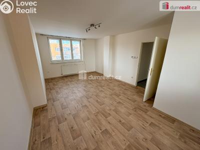 Pronájem bytu 4+1 Kolín, Mlýnská č. 1