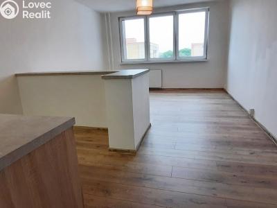 Sale apartment 1+KK Orlová, F. S. Tůmy č. 3