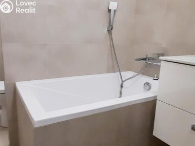 Sale apartment 1+KK Orlová, F. S. Tůmy č. 5