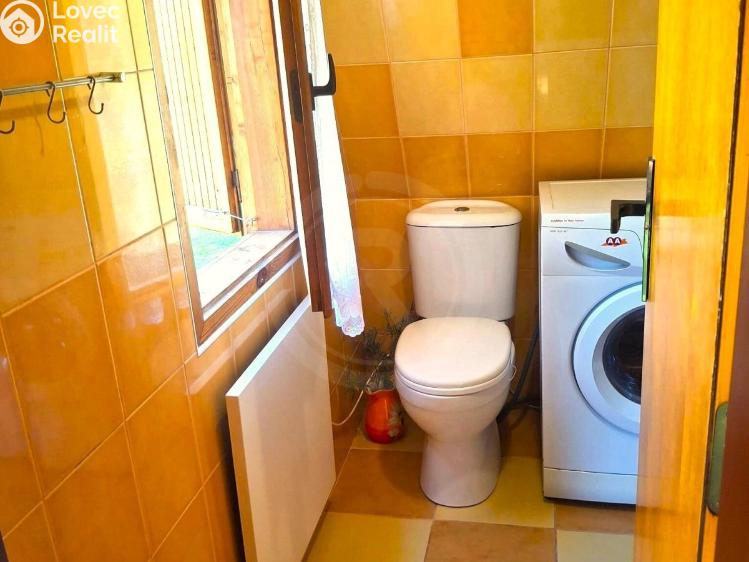 Sale hut Horní Planá č. 10